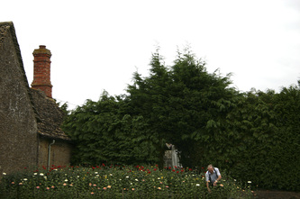 Man with Dahlias, Lacock, Wilts, 2005