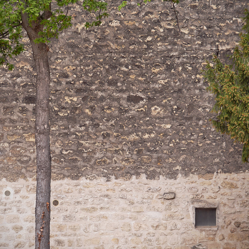 Tree, Square Violet